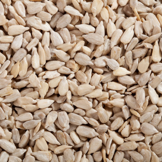 Raw Sunflower Seeds Premium Grade